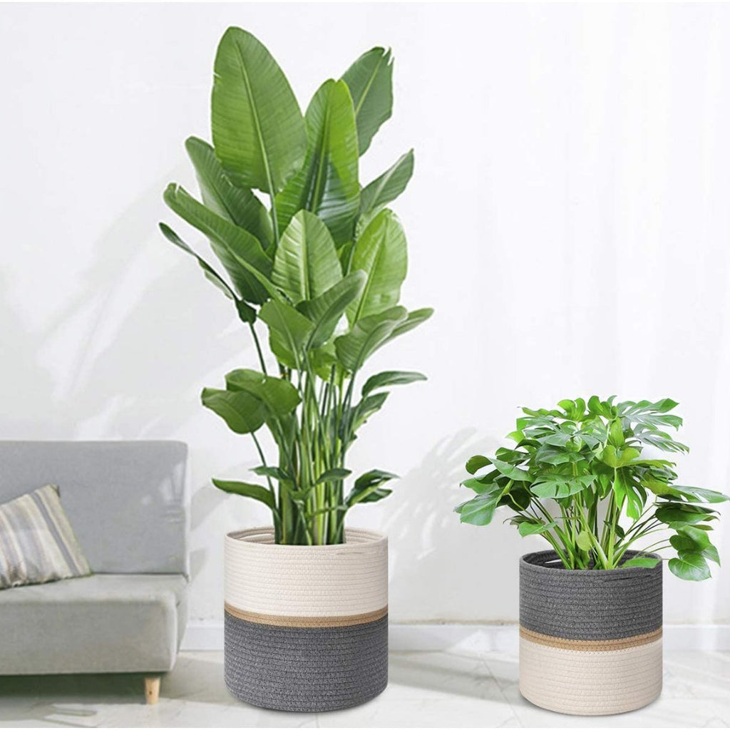 Home Décor